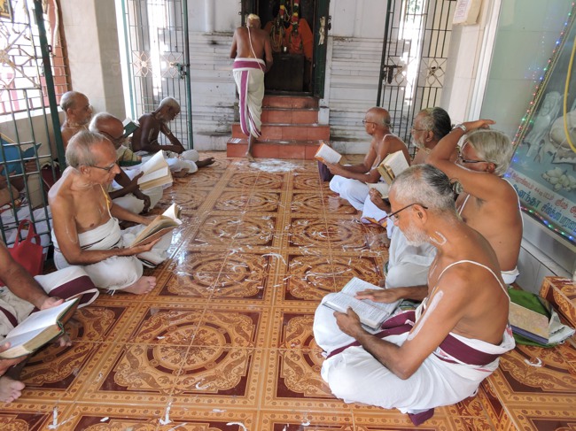 Srirangam Ahobila Mutt Mukkur Azhagiyasingar Thirunakshatra Utsavam day 1-2015-20