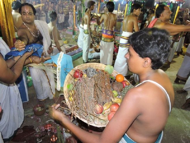 Srirangam Kovil 11 Gopurams and 43 Sannadhi Samprokshanam 2015 07