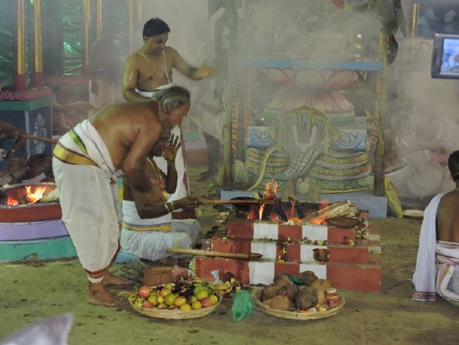 Srirangam Kovil 11 Gopurams and 43 Sannadhi Samprokshanam 2015 35