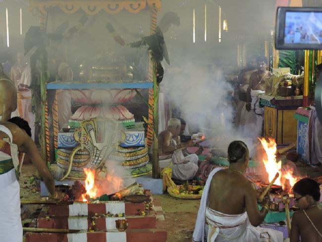 Srirangam Kovil 11 Gopurams and 43 Sannadhi Samprokshanam 2015 38