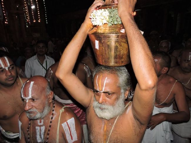 Srirangam Kovil 11 Gopurams and 43 Sannadhi Samprokshanam 2015 48