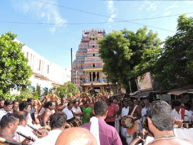 Srirangam Kovil 43 Upa Sannadhigal Samprokshanam 2015 32
