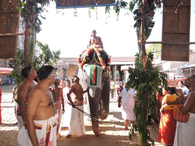 Srirangam Kovil 43 Upa Sannadhigal Samprokshanam 2015 57