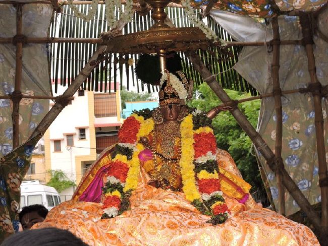 Srirangam Ranganathaswami Temple Uriyadi Utsavam 2015 06