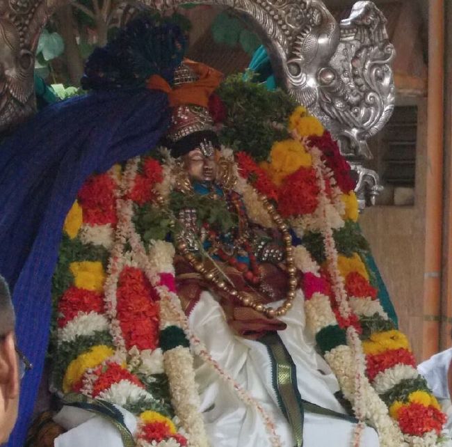 Srivilliputhur Swami Desikan Thirunakshatra Utsavam day 2015 23