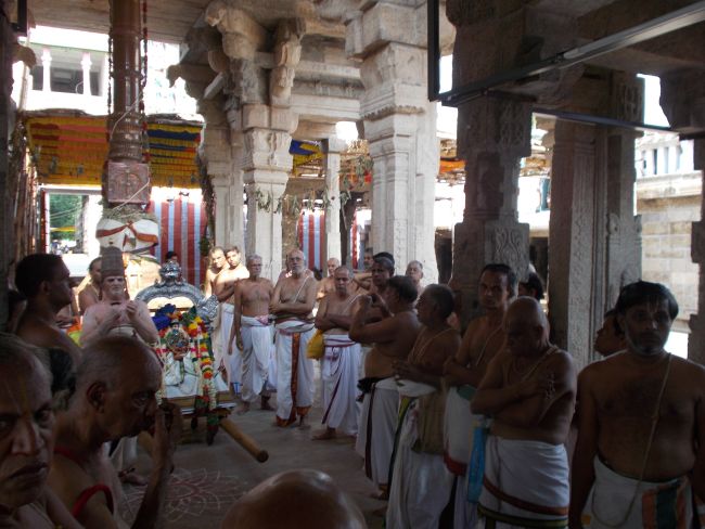 Srivilliputhur Swami Desikan Thirunakshatra Utsavam day 2015 27