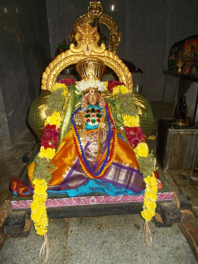 Therazhundur Sri Amaruviappan Sannadhi Padithurai purappadu   2015-11.jpg