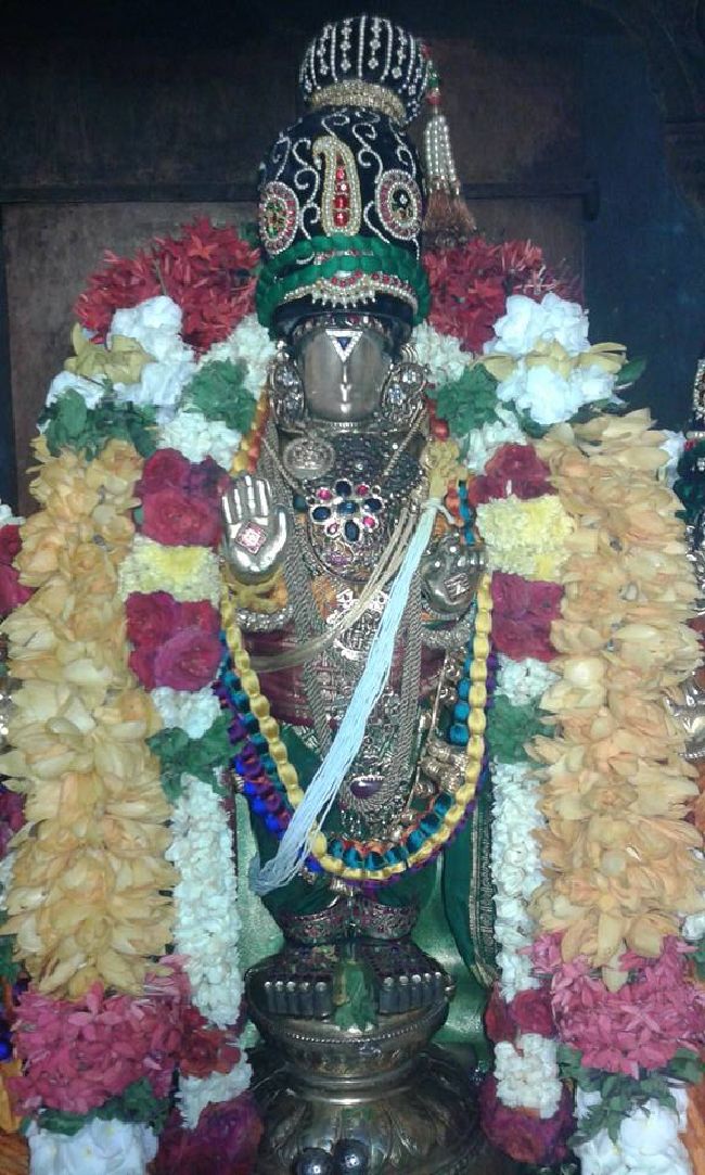 Thirukadigai Pavithrotsavam Day 2 2015 3