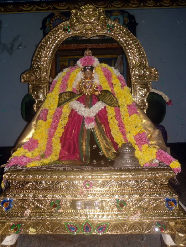 Thirukannamangai Swami Desikan Thirunakshatra Utsavam day-2  2015 06