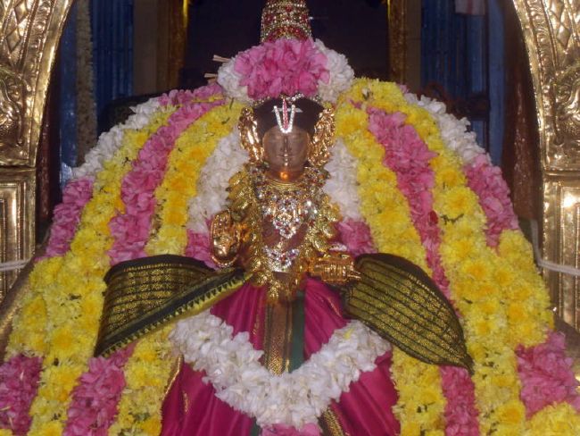 Thirukannamangai Swami Desikan Thirunakshatra Utsavam day-2  2015 11