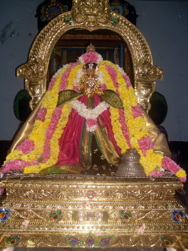 Thirukannamangai Swami Desikan Thirunakshatra Utsavam day-2  2015 13