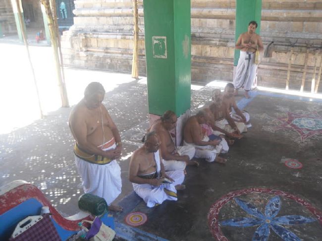 Thirukannamangai Swami Desikan Thirunakshatra Utsavam day 3 2015 02