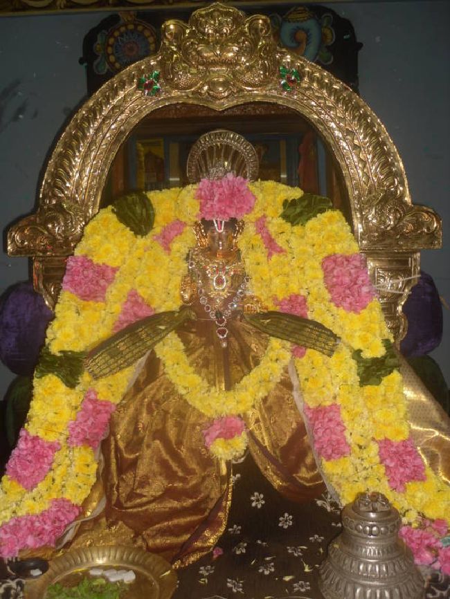 Thirukannamangai Swami Desikan Thirunakshatra Utsavam day 3 2015 08