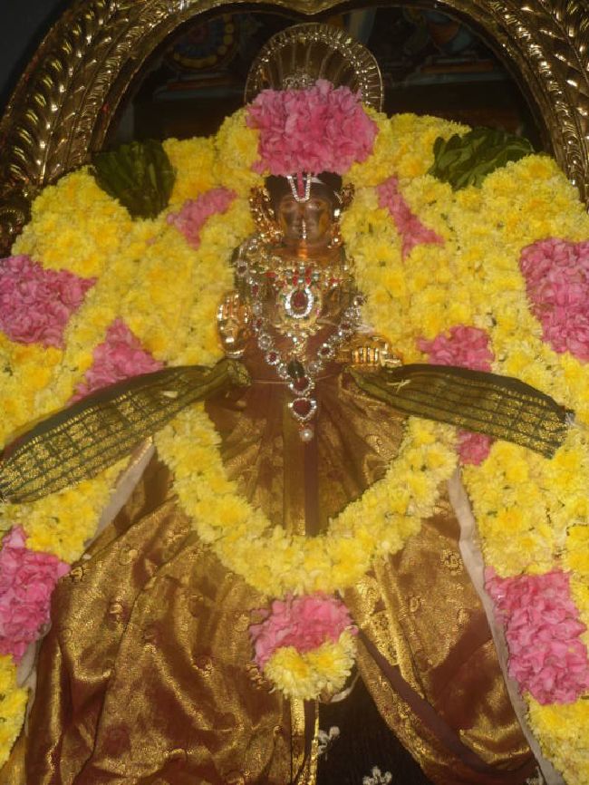 Thirukannamangai Swami Desikan Thirunakshatra Utsavam day 3 2015 09
