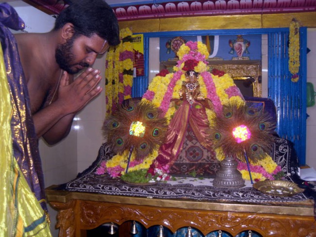 Thirukannamangai Swami Desikan Thirunakshatra Utsavam day 4-2015-22
