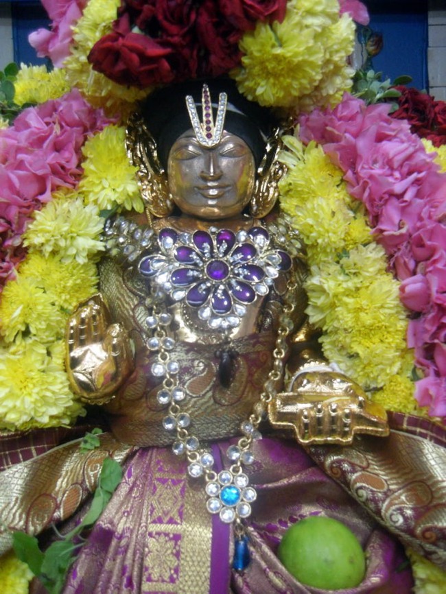 Thirukannamangai Swami Desikan Thirunakshatra Utsavam day 4-2015-24