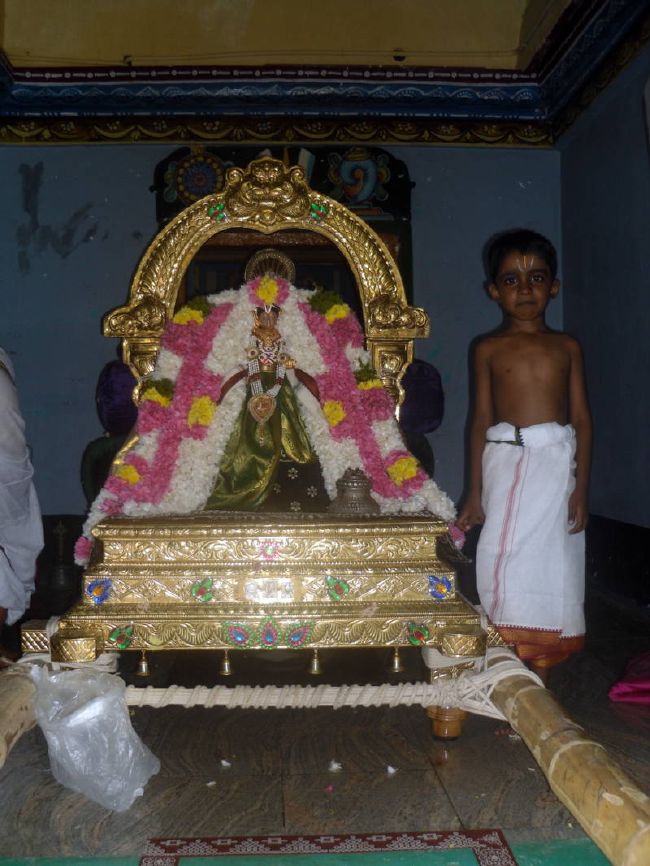 Thirukannamangai Swami desikan Thirunakshatra Utsavam day 6 2015 01