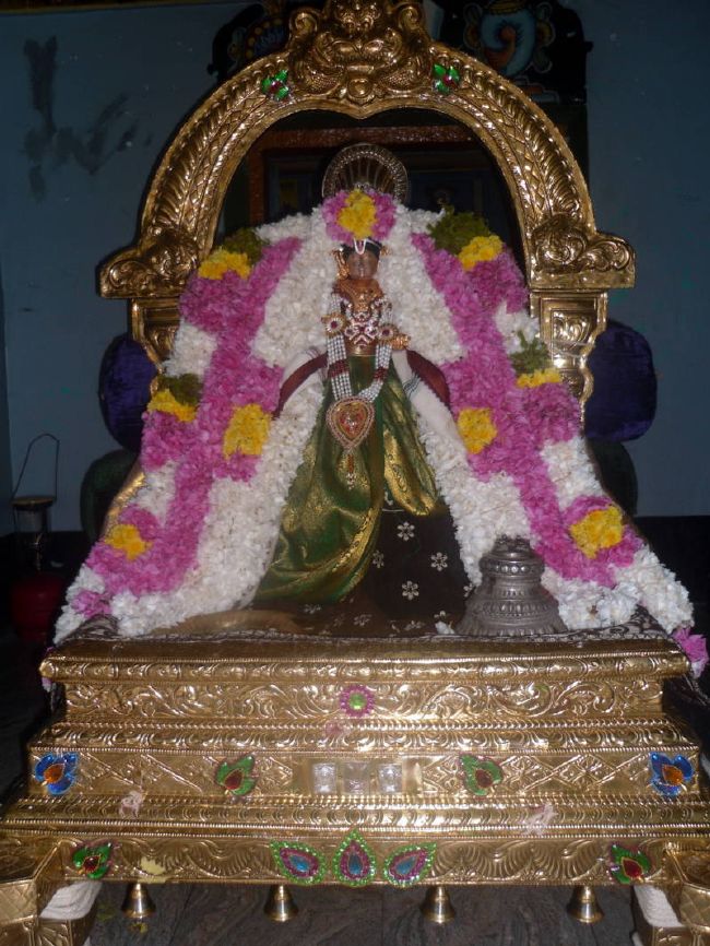 Thirukannamangai Swami desikan Thirunakshatra Utsavam day 6 2015 03
