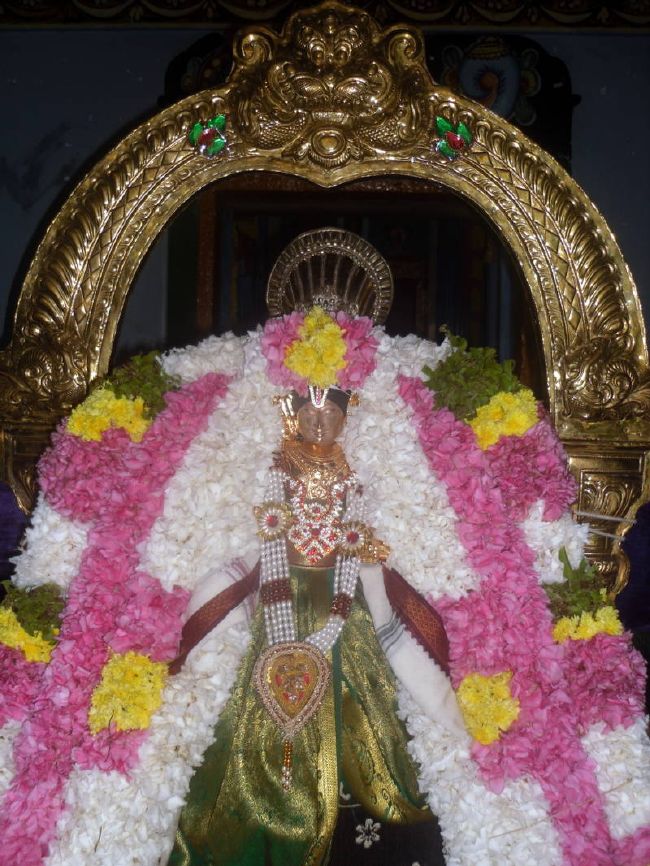 Thirukannamangai Swami desikan Thirunakshatra Utsavam day 6 2015 04