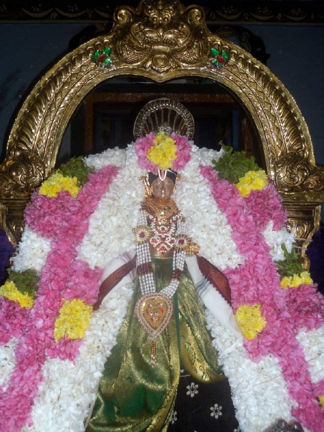 Thirukannamangai Swami desikan Thirunakshatra Utsavam day 6 2015 05