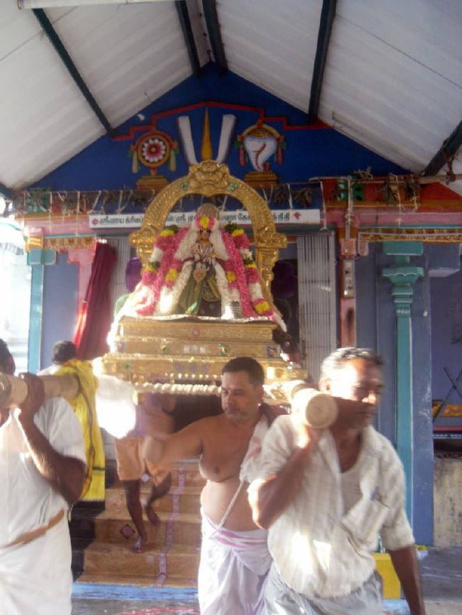 Thirukannamangai Swami desikan Thirunakshatra Utsavam day 6 2015 07