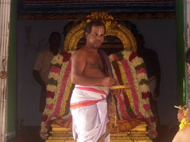 Thirukannamangai  Swami desikan Thirunakshatra Utsavam day 7 Thiruther 2015 04