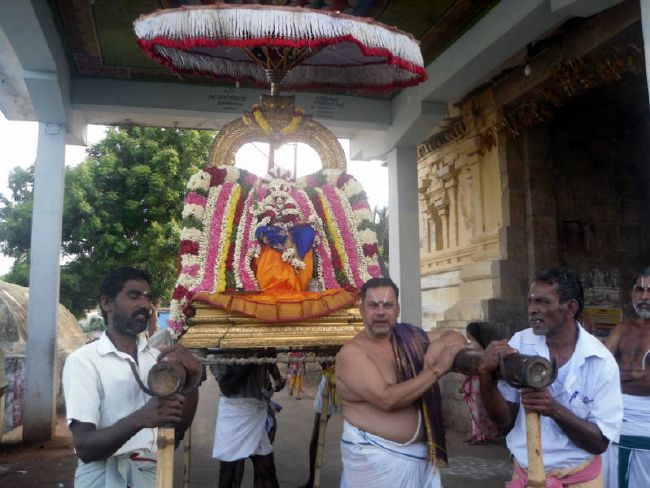 Thirukannamangai  Swami desikan Thirunakshatra Utsavam day 7 Thiruther 2015 24