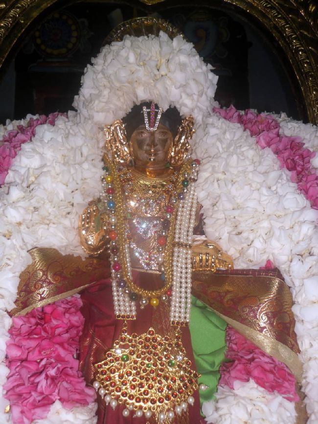 Thirukannamangai Swami desikan Thirunakshatra Utsavam day 8  2015 07