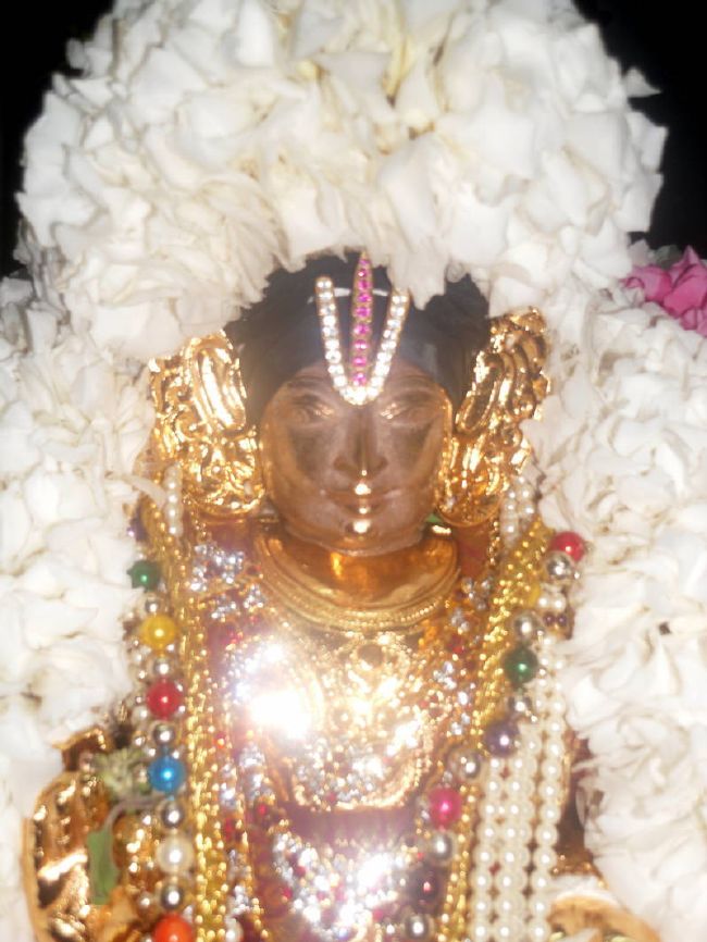 Thirukannamangai Swami desikan Thirunakshatra Utsavam day 8  2015 08