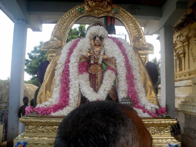 Thirukannamangai Swami desikan Thirunakshatra Utsavam day 8  2015 13