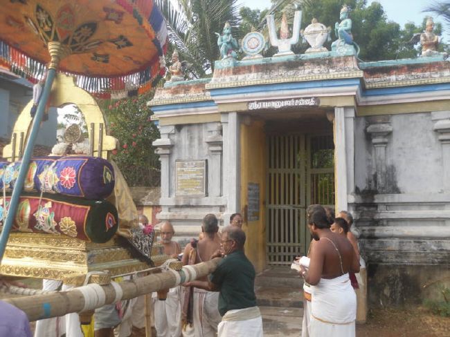Thirukannamangai Swami desikan Thirunakshatra Utsavam day 8  2015 16
