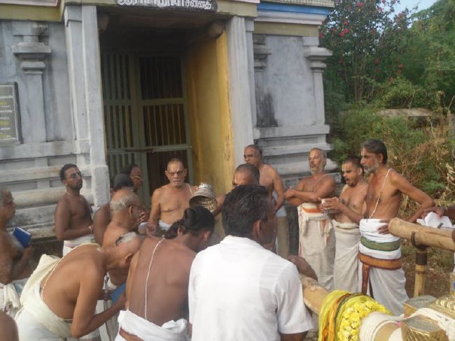 Thirukannamangai Swami desikan Thirunakshatra Utsavam day 8  2015 17