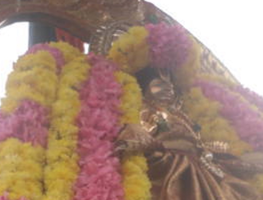 Thirukannamangai day 5 Swami Desikan uTsvam 2015