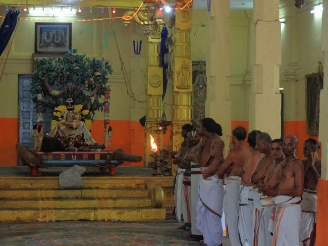 Thiruvaheendrapuram Swami Desikan Thirunakshatra utsavam Day 4-2015-01