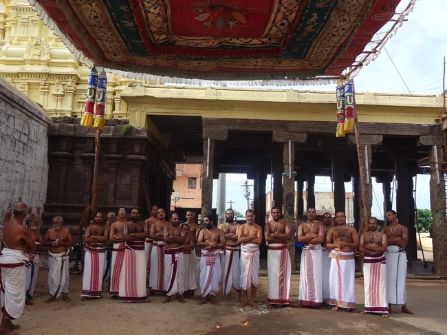 Thiruvaheendrapuram Swami Desikan Thirunakshatra utsavam Day 4-2015-06