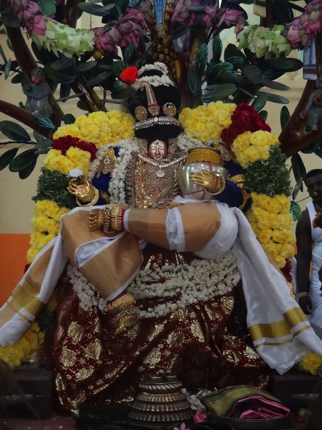 Thiruvaheendrapuram Swami Desikan Thirunakshatra utsavam Day 4-2015-10