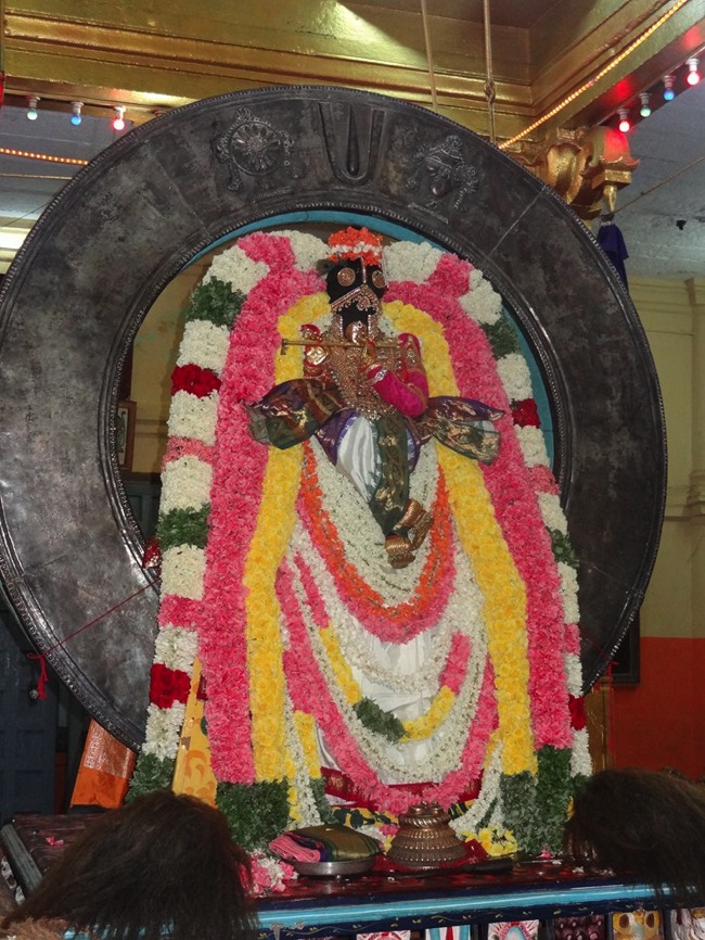 Thiruvaheendrapuram Swami Desikan Thirunakshatra utsavam Day 4 even-2015-04