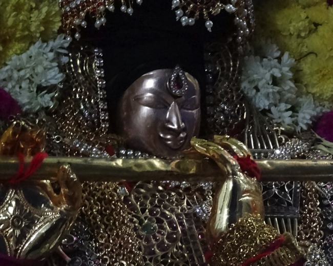 Thiruvaheendrapuram Swami Desikan Thirunakshatra utsavam Day 4 even-2015-12