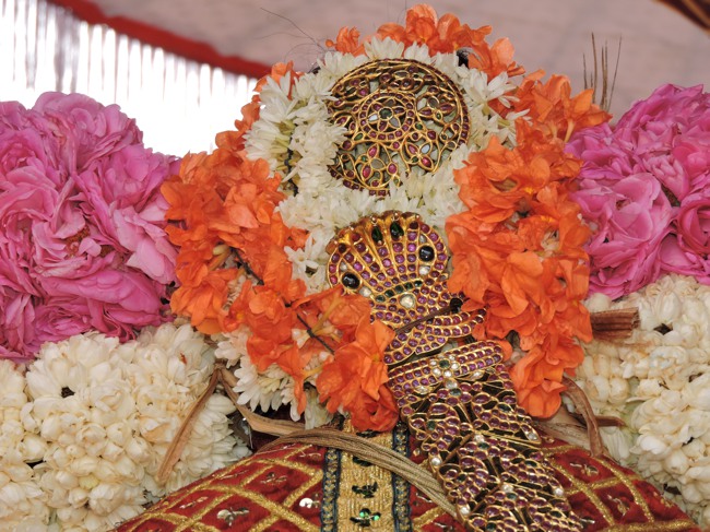 Thiruvahindrapuarm Swami Desikan Thirunakshatra Utsavam Day 6 Vennai Thazhi Kannan Thirukolam -2015-35