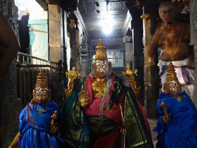 Thiruvahindrapuram Sri Devanathan Perumal Temple Maha Samprokshanam9