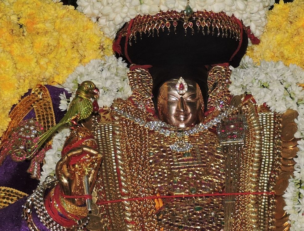 Thiruvahindrapuram Swami Desikan Day 5 Simha vahanam 2015