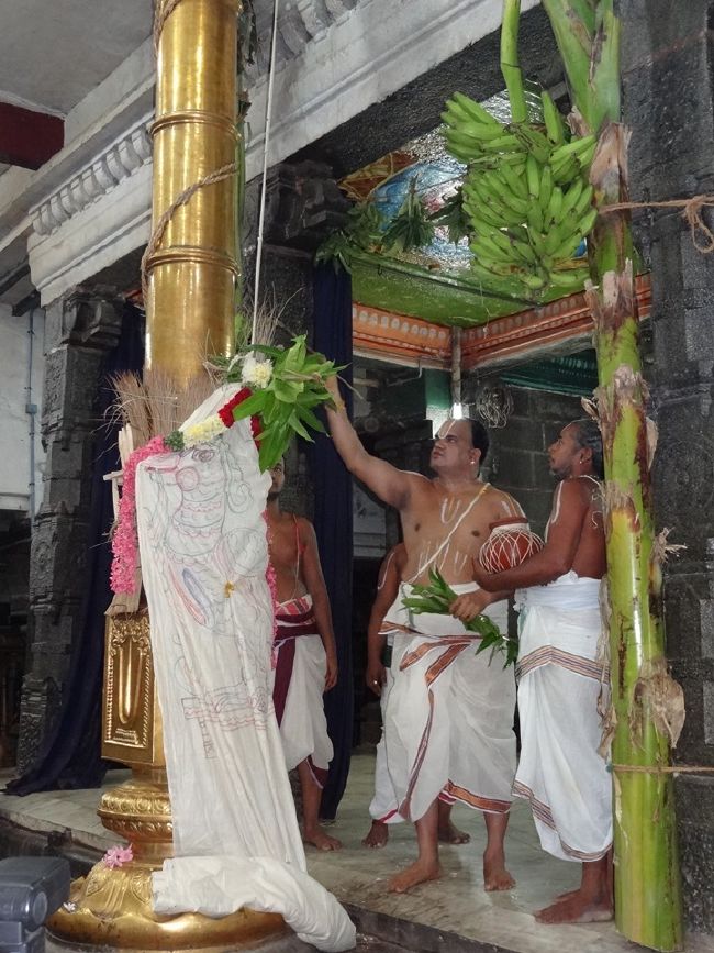Thiruvahindrapuram Swami Desikan Thirunakshatra Utsavam day 1 Dvajarohnam 2015 04
