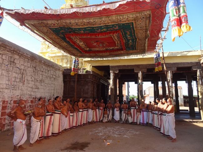 Thiruvahindrapuram Swami Desikan Thirunakshatra Utsavam day 1 Dvajarohnam 2015 06
