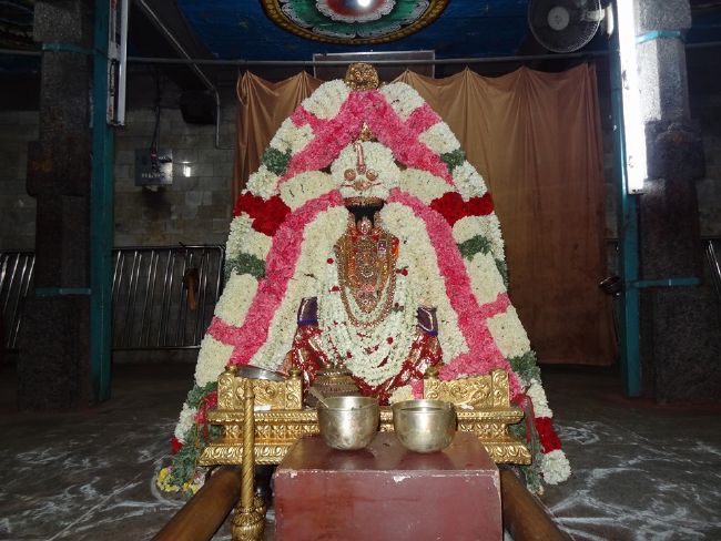 Thiruvahindrapuram Swami Desikan Thirunakshatra Utsavam day 1 Dvajarohnam 2015 17