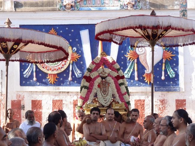 Thiruvahindrapuram Swami Desikan Thirunakshatra Utsavam day 1 Dvajarohnam 2015 19