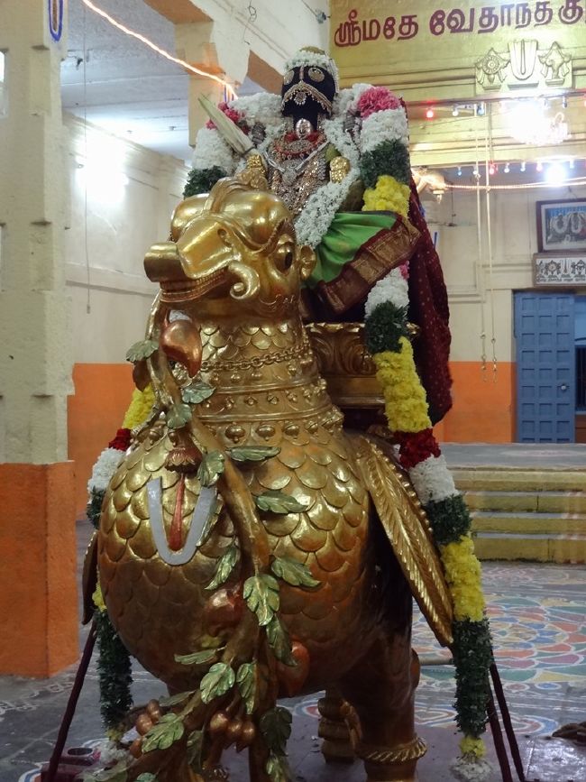 Thiruvahindrapuram Swami Desikan Thirunakshatra Utsavam day 1 Hamsa Vahanam 2015 02