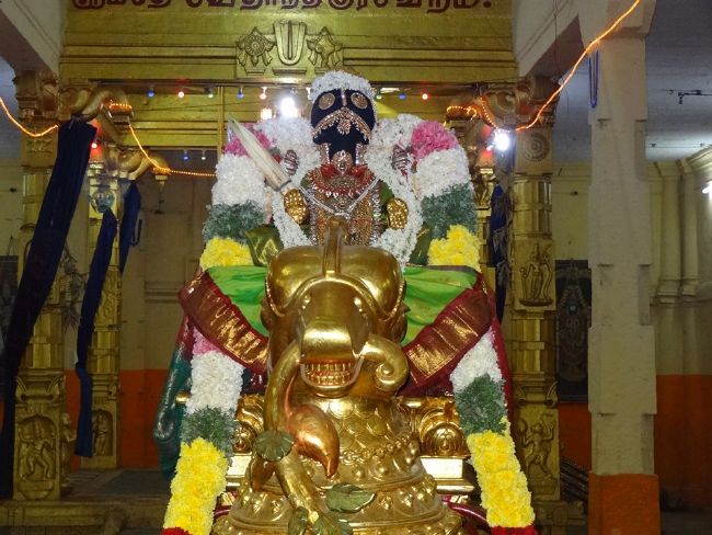 Thiruvahindrapuram Swami Desikan Thirunakshatra Utsavam day 1 Hamsa Vahanam 2015 04