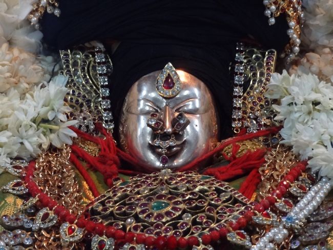Thiruvahindrapuram Swami Desikan Thirunakshatra Utsavam day 1 Hamsa Vahanam 2015 19