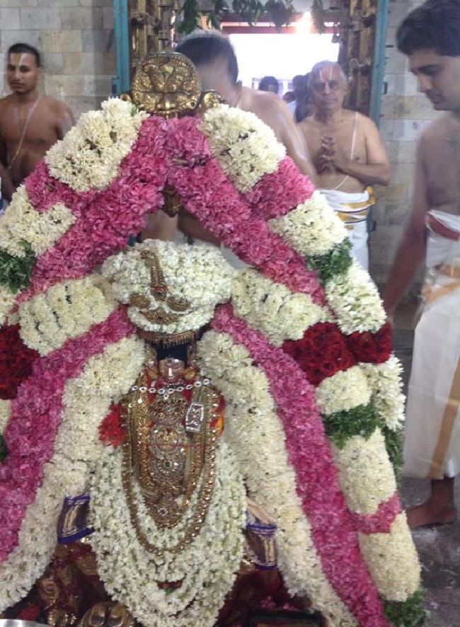 Thiruvahindrapuram Swami Desikan Thirunakshatra Utsavam day 1 Morning Purappadu 2015 1