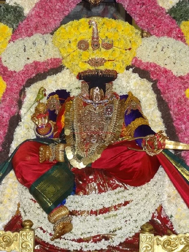 Thiruvahindrapuram Swami Desikan Thirunakshatra Utsavam day 2 Indra Vimanam 2015 03